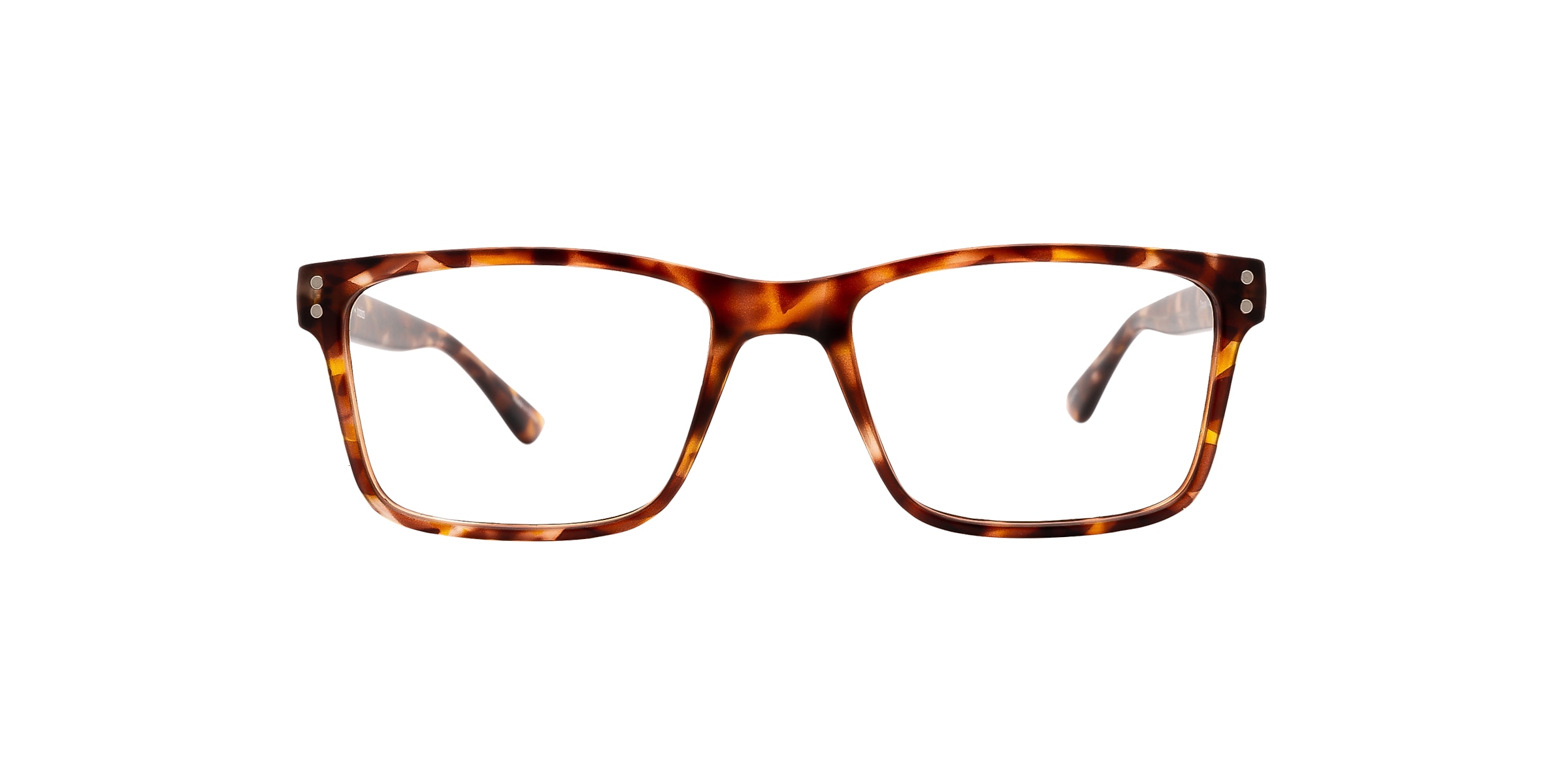 Clearly Glasses TORQUAY