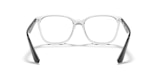 RB7066 OPTICS