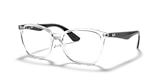 RB7066 OPTICS