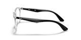 RB7066 OPTICS