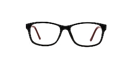 Clearly Glasses FORT SEVERN