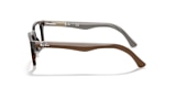 RB5228 OPTICS
