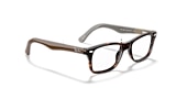RB5228 OPTICS