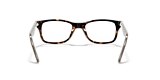 RB5228 OPTICS