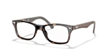 RB5228 OPTICS