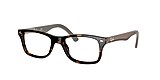 RB5228 OPTICS