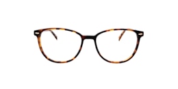 clearly Glasses banyan