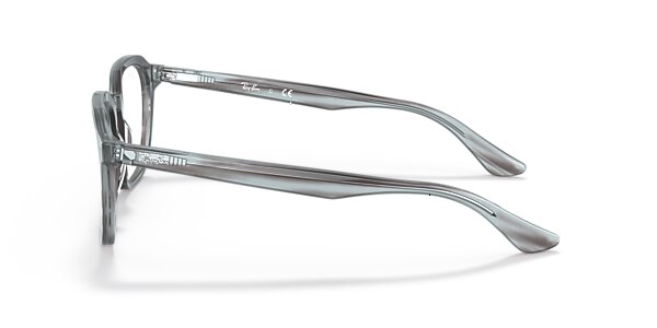RB5390 OPTICS
