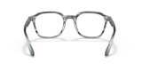 RB5390 OPTICS