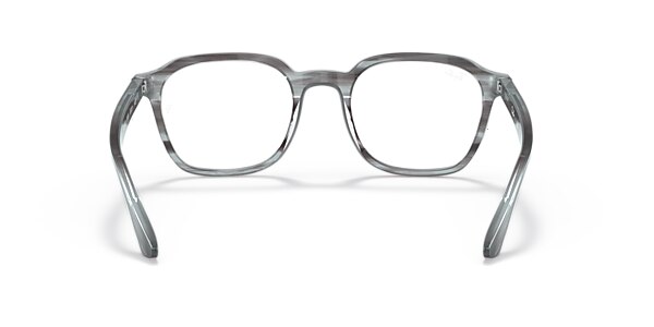 RB5390 OPTICS