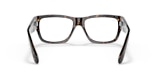 RB5487 NOMAD OPTICS