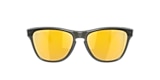 Oakley Sunglasses OJ9006 FROGSKINS™ XS (YOUTH FIT)