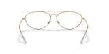RB6454 OPTICS