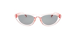 clearly Sunglasses paints