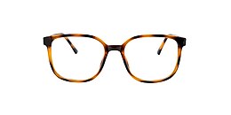 clearly Glasses oil003