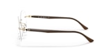 RB8768 OPTICS