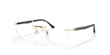 RB8768 OPTICS