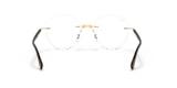 RB8768 OPTICS