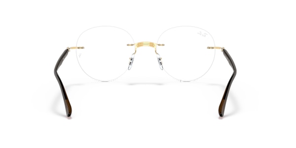 RB8768 OPTICS