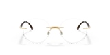 RB8768 OPTICS