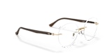 RB8768 OPTICS
