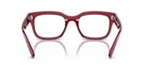 RB7217 CHAD OPTICS BIO-BASED