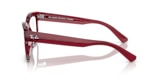 RB7217 CHAD OPTICS BIO-BASED