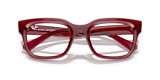 RB7217 CHAD OPTICS BIO-BASED
