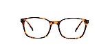 Derek Cardigan Glasses TARVOS