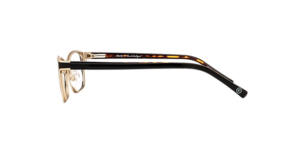 Clearly Glasses DELPHINUS