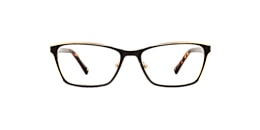 clearly Glasses delphinus