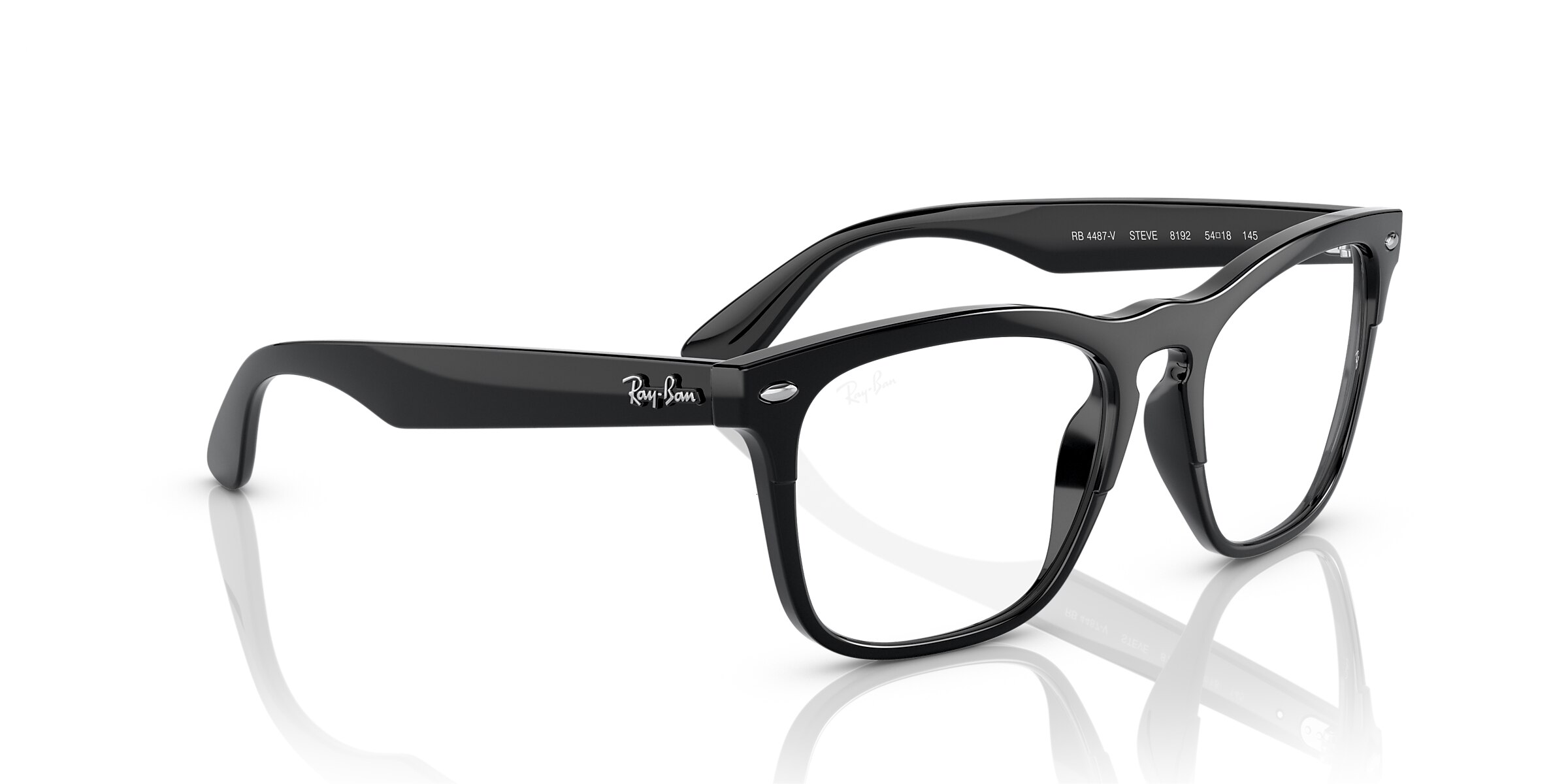 Ray-Ban Glasses RB4487V STEVE OPTICS
