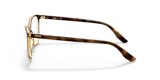 CP3053