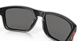 OO9102 HOLBROOK™