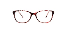 clearly Glasses setting lake