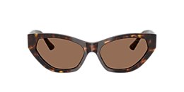 Jimmy Choo Sunglasses JC5022B