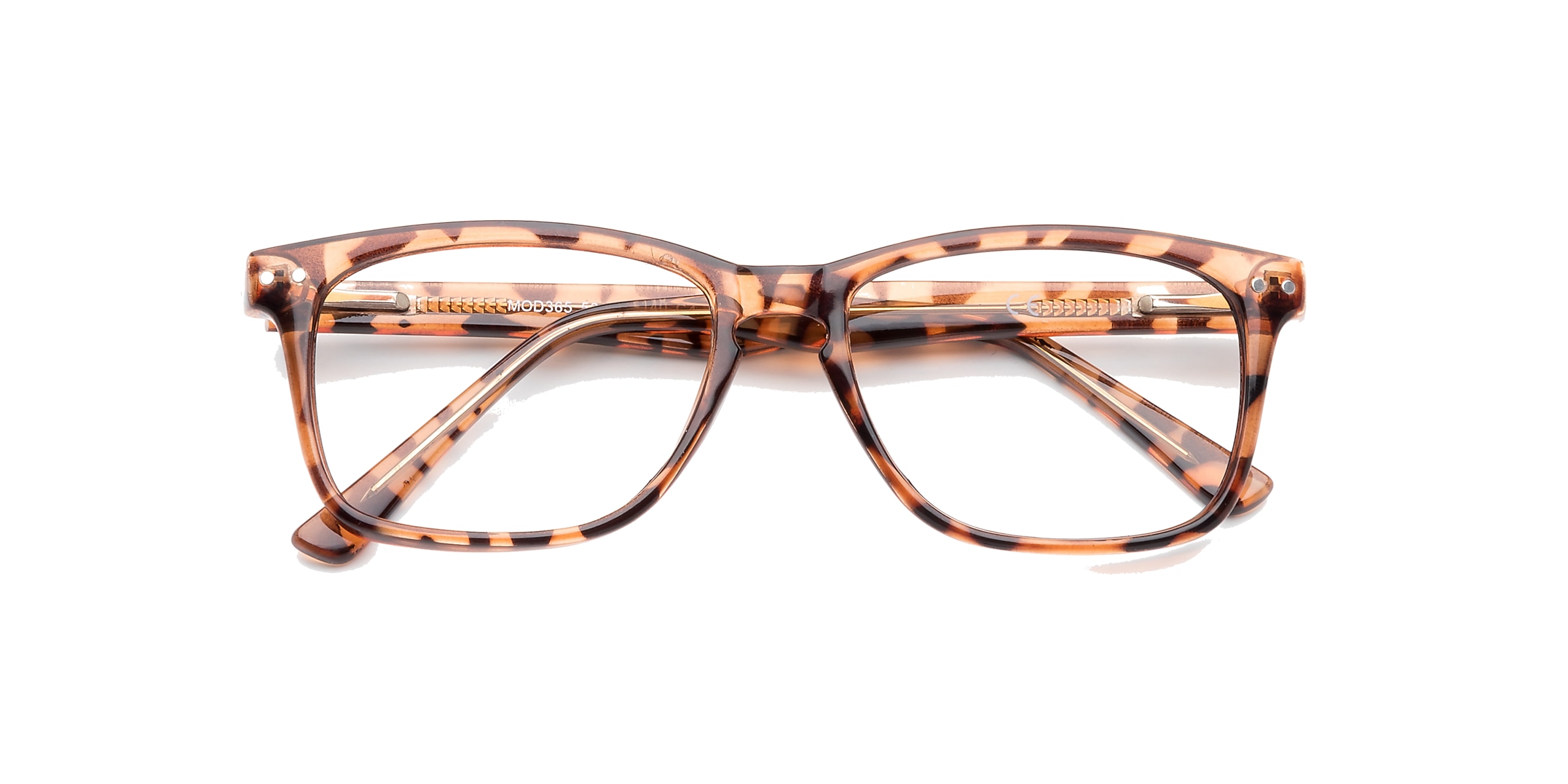 Clearly Glasses SAINT-HENRI