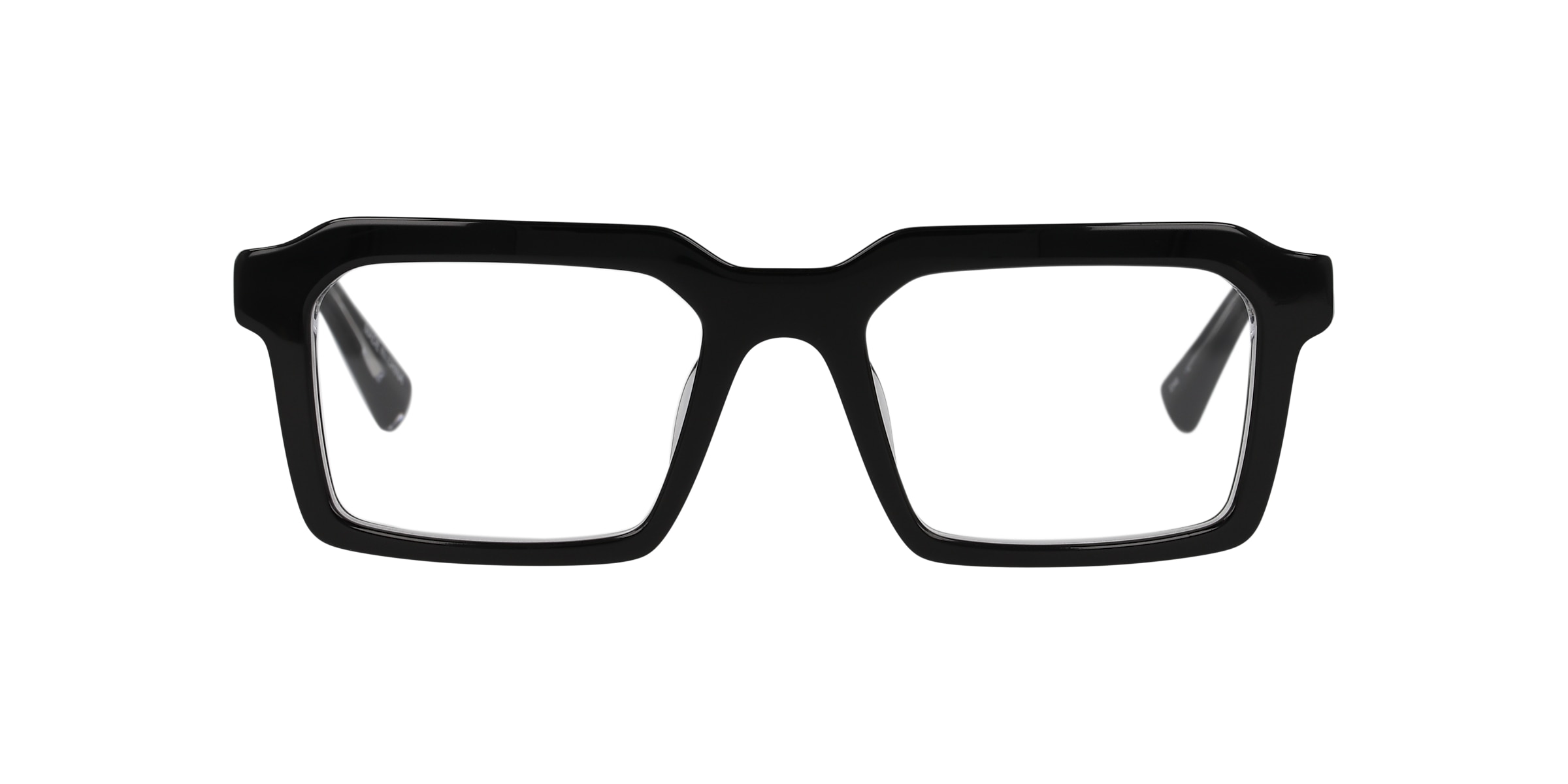 Clearly Glasses TERRESTRIAL