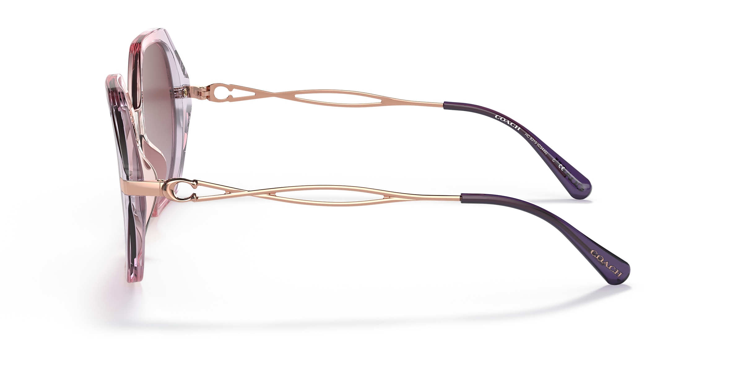 Coach Sunglasses HC8315 C3445