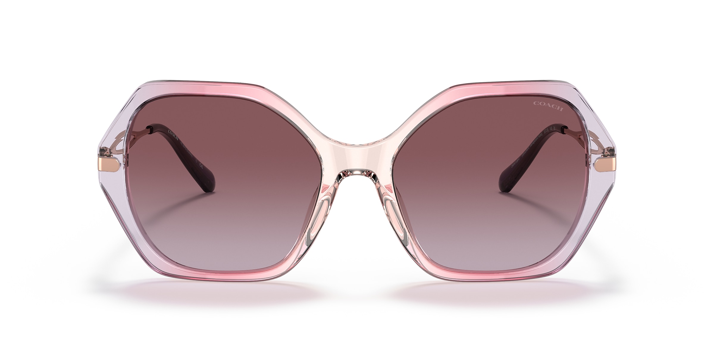 Coach Sunglasses HC8315 C3445