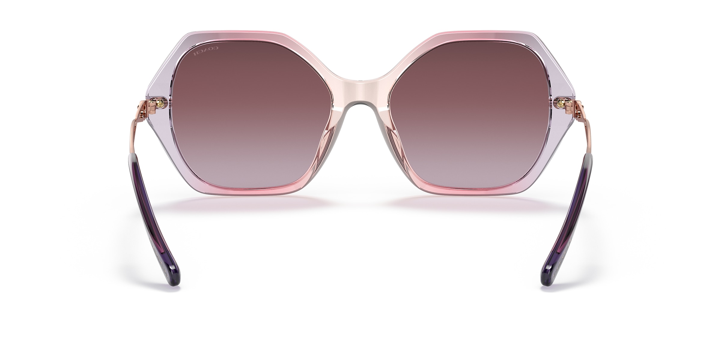 Coach Sunglasses HC8315 C3445