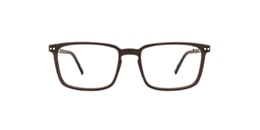 clearly Glasses curlew