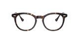 Ray-Ban Glasses RB5598 EAGLE EYE OPTICS