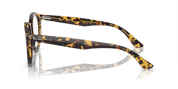 Ray-Ban Glasses RB7680V LARRY OPTICS