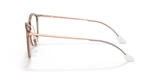 RB7140 OPTICS