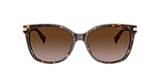 Coach Sunglasses HC8132 L109