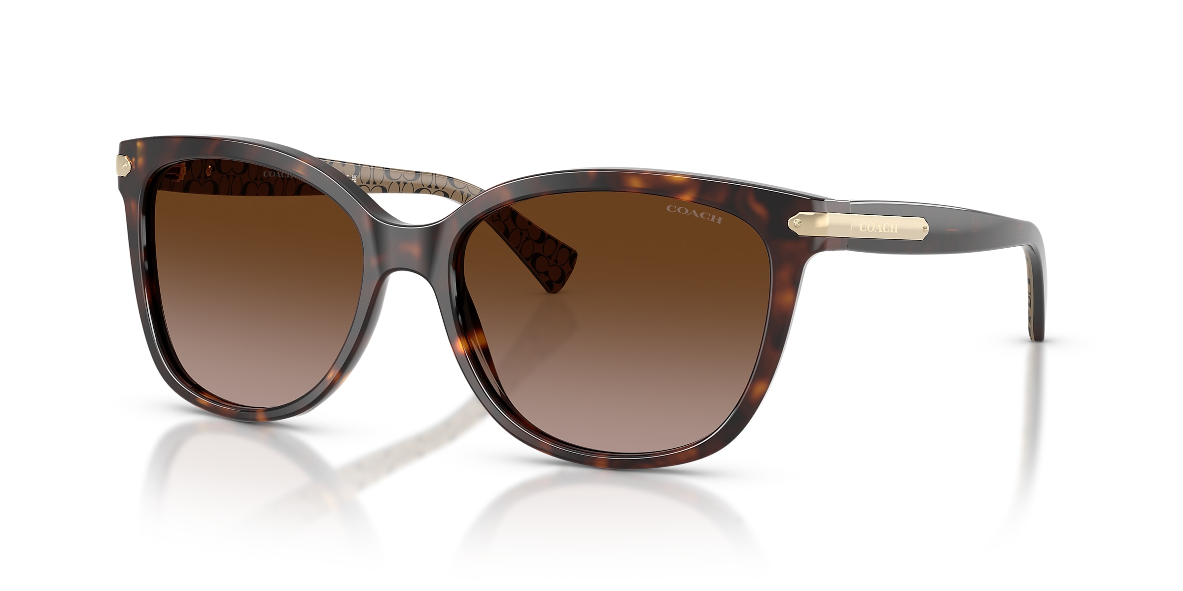 Coach Sunglasses HC8132 L109