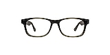 Main And Central Glasses RANDWICK