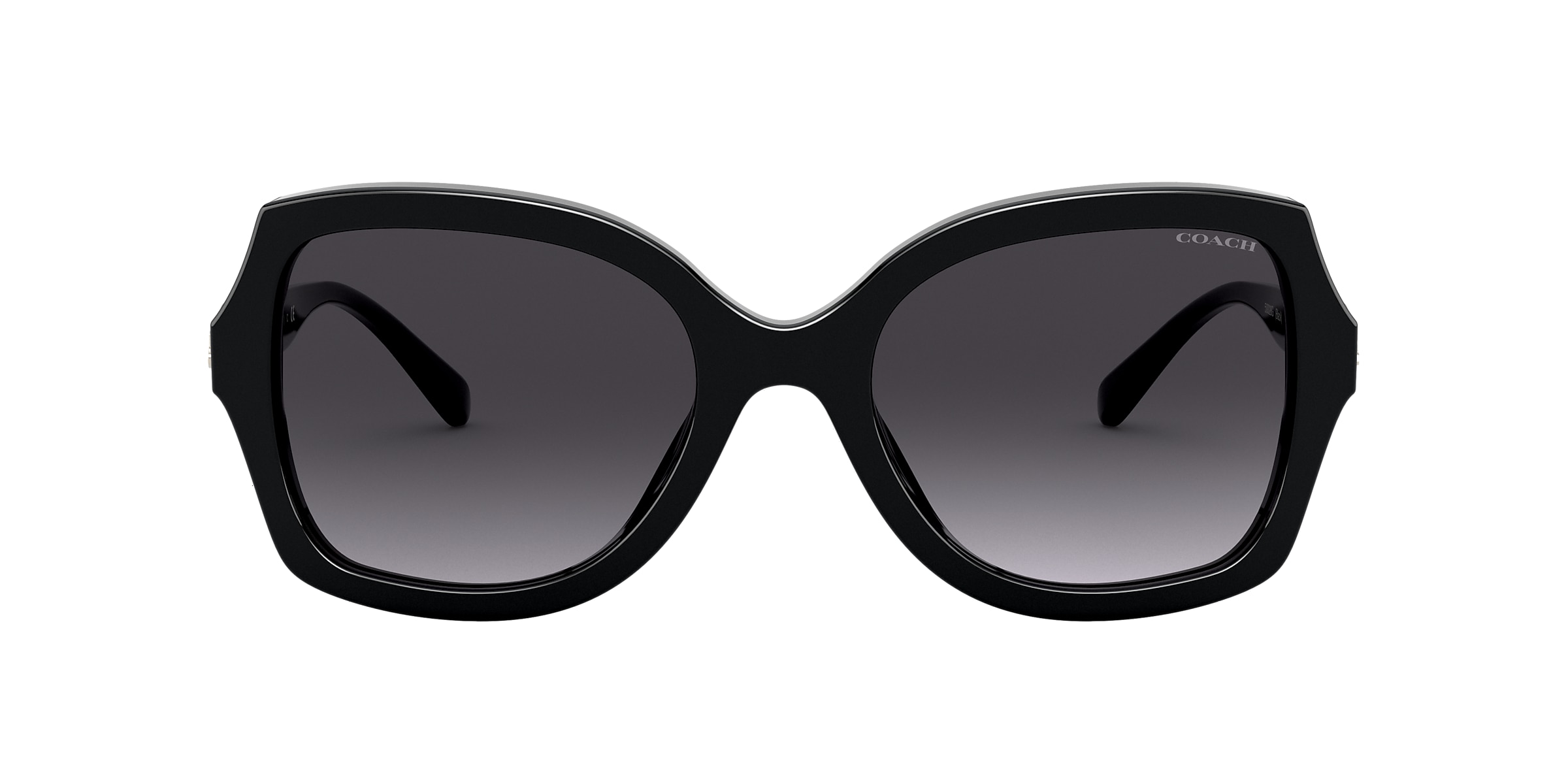 Coach Sunglasses HC8295 L1147