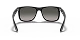 RB4165 JUSTIN CLASSIC